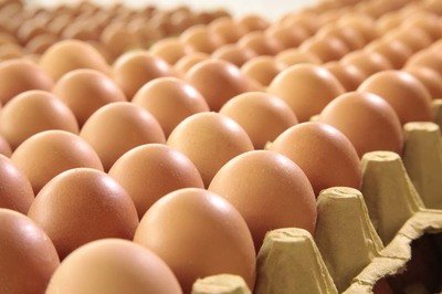 钦州鸡蛋检测价格,鸡蛋检测机构,鸡蛋检测项目,鸡蛋常规检测